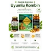 ÇareBurada Zihin Seti |  Ginkgo Biloba 60 Kapsül & Zencefilli Çay 40 Poşet & Omega 3-6-9 Softjel
