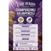 Dr. Bronos - Civanperçemli & Aslanpençeli 30lu Stick Çay