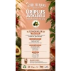 Dr. Bronos - ÜRİPLUS Avakadolu 30lu Stick Çay (Avakado & Gilaburu & Kırkkilit Otu & İğde Çekirdeği)