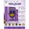 ÇareBurada | Dr. Bronos Civan Perçemli, Aslan Pençeli Karışık Bitkisel Toz 30 Stick