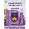 ÇareBurada | Dr. Bronos Civan Perçemli, Aslan Pençeli Karışık Bitkisel Toz 30 Stick