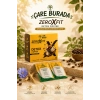 ÇareBurada - Fit & Detoks Seti (Hindiba Kahvesi 150 Gr & Detoks Kahve 30 Şase)