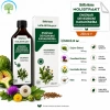 ÇareBurada EDK Sirke 500 ml & Holistrakt Enginar, Deve Dikeni, Karahindiba 250 ml Ekstrakt | Enginar, Devedikeni, Karahindiba