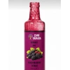ÇareBurada Karadut Özü 500 ml