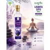 ÇareBurada Lavanta Suyu 500 ml | Lavender Water