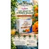 Çay Ağacı Ve Aynısefa Balsamı 2li Set