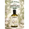 Complex Sarımsak Özlü Bitkisel Şampuan 400 Ml