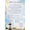 Form & Diyet Destek Seti (Spirulina Kapsül (60 Kapsül) & Hindiba Kahvesi 150 Gr)
