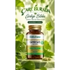 Ginkgo Biloba 60 Kapsül (1000 mg)