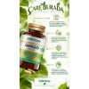 Ginkgo Biloba Kapsül 1000 Mg (60 Kapsül)