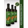 Işkın Sirkesi 3lü Ekonomik Set 3 x 500 ml