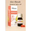 Hekimhan - Kantaron Yağı 50 Ml