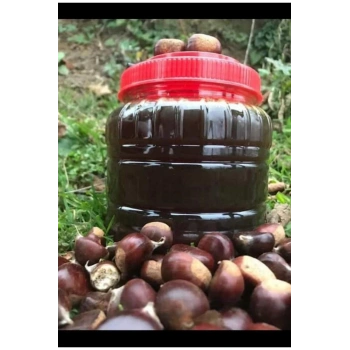 Kestane Balı 1 kg Kastamonu Bölgesi