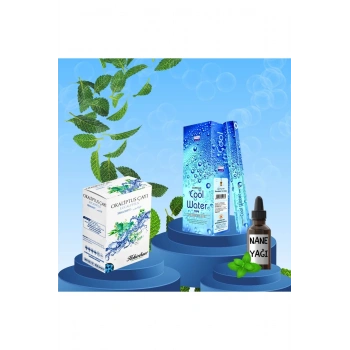 Ferah Ortam Seti Cool Water Tütsü 20 Çubuk + Okaliptüs Küp Çay + Nane Yağı 20 ml