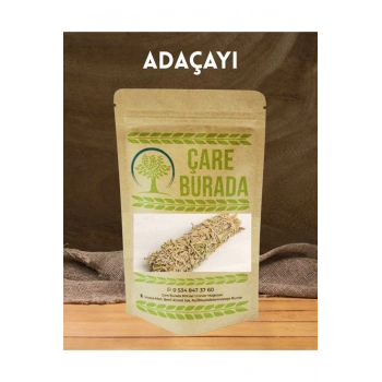 Demet Adaçayı 1 Demet