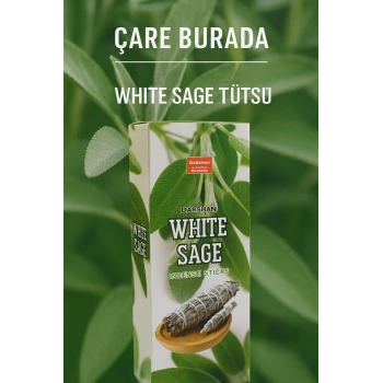 Darshan Incense - White Sage 20li Çubuk Tütsü