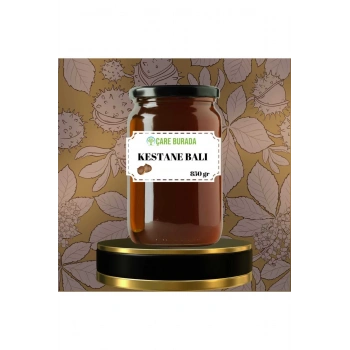Kestane Balı Zonguldak Bölgesi 850 gr
