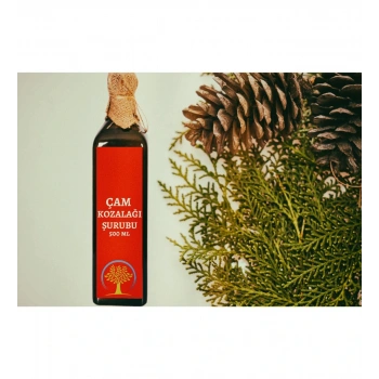 Çare Burada Çam Kozalağı Şurubu 500 ML