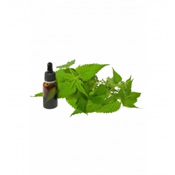 Biorganix Life Isırgan Tohumu Yağı 20 ml