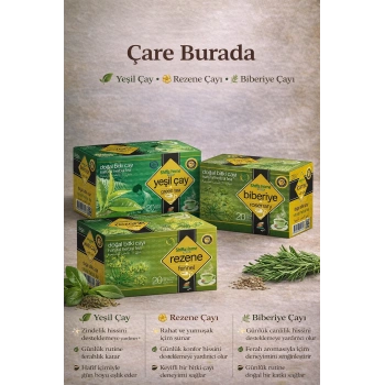 Sindirim Rahatlatıcı Çay Seti (Rezene 20li & Biberiye 20li & Yeşil Çay 20li)