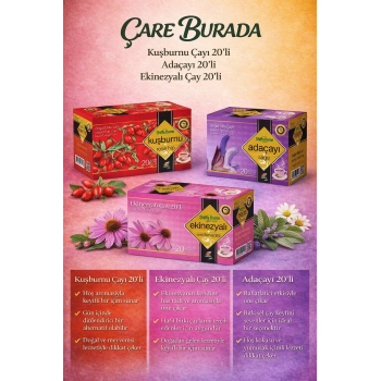 Kışa Hazırlık Çay Seti (Ekinezya Çayı 20li & Kuşburnu Çayı 20li & Adaçayı 20li)