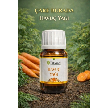 Bitkisel Havuç Yağı 20 Ml