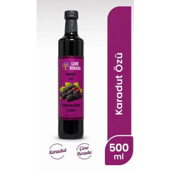 ÇareBurada Karadut Özü 500 ml | Yoğun Karadut Lezzeti
