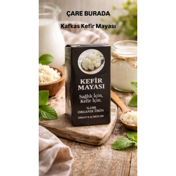 Kafkas Kefir Mayası