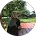Ayşenur Seyman Google yorumu