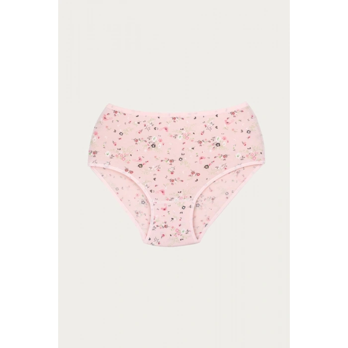 Kadın Pembe Desenli Likralı Empirme Külot 6lı Paket