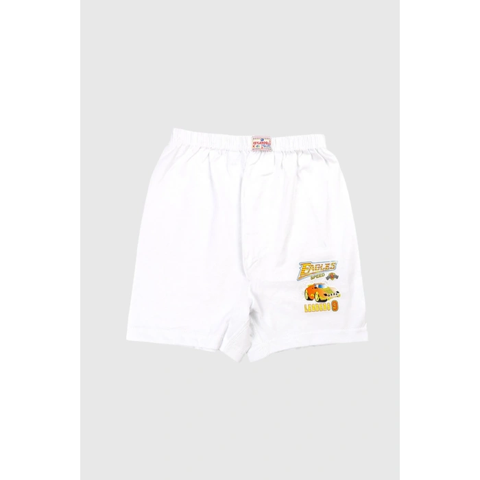 Baskılı Erkek Çocuk Paçalı Külot 12li Gkc320