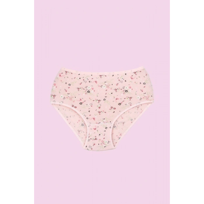 12  Lı Likralı Empirme Kadın Külot Karışık 144