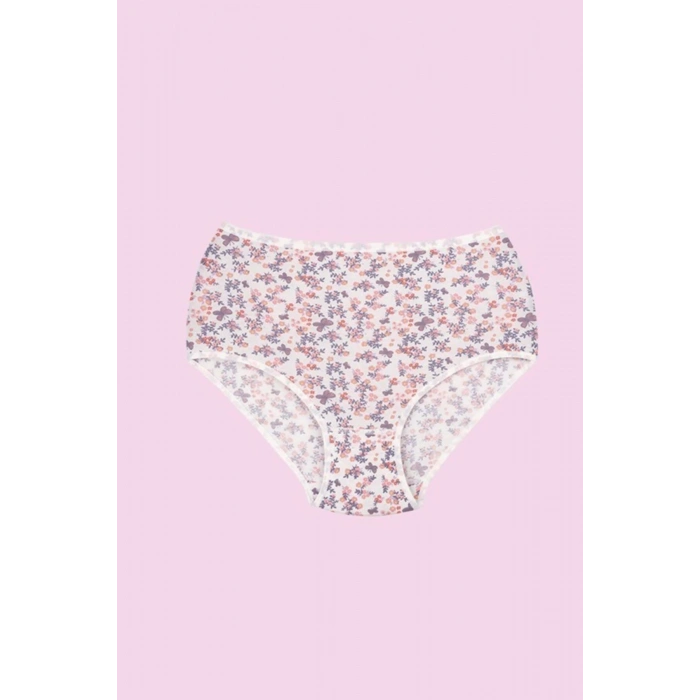 12  Lı Likralı Empirme Kadın Külot Karışık 144