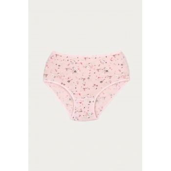 Kadın Pembe Desenli Likralı Empirme Külot 6lı Paket