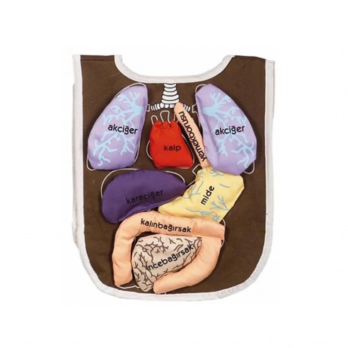 Çocuk AND-5011 Organ Önlüğü