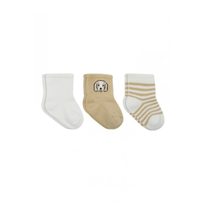 Bistyle Dog Boy 3lü Penye Soket Çorap 10134 Ekru