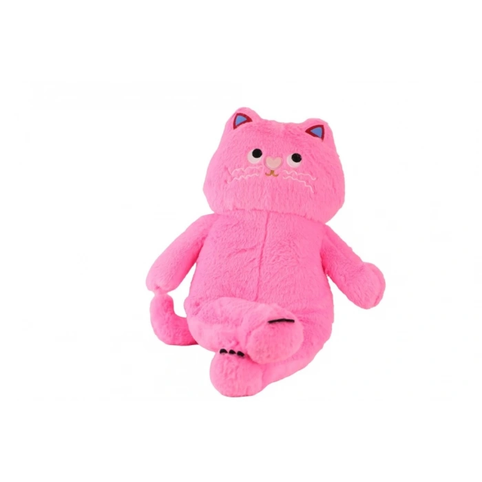Eğitici Çocuk 4905 Pembe Renk 55 cm Kedi