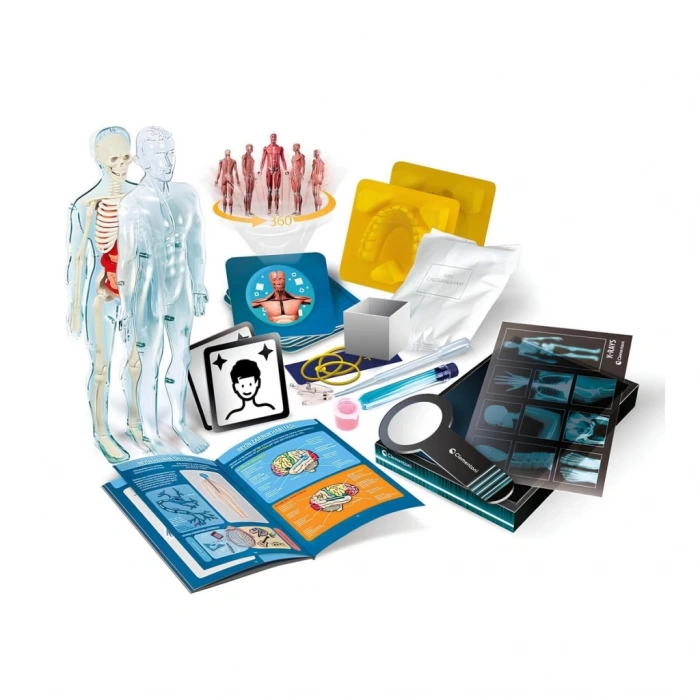 Çocuk Bilim ve Oyun Süper Anatomi