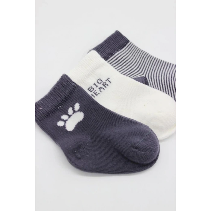 Eğitici Oyuncak Bistyle 3Lü Penye Soket Çorap BS10110 Antrasit