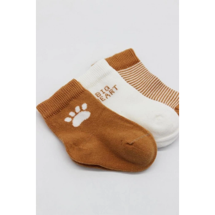 Sıcak tonlarda tasarlanmış yumuşak soket çoraplar – konforlu adımlar