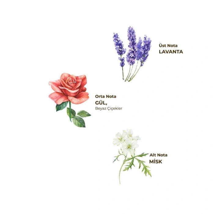 Çocuk Eyüp Sabri Tuncer Kolonya Pet Şişe Sprey 150 ml Lavanta