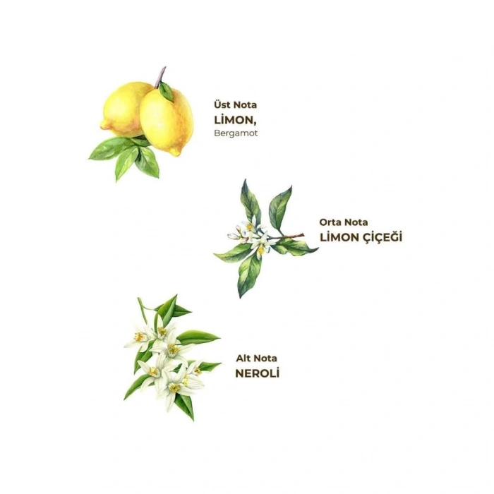 Çocuk Eyüp Sabri Tuncer Kolonya Pet Şişe Sprey 150 ml Limon