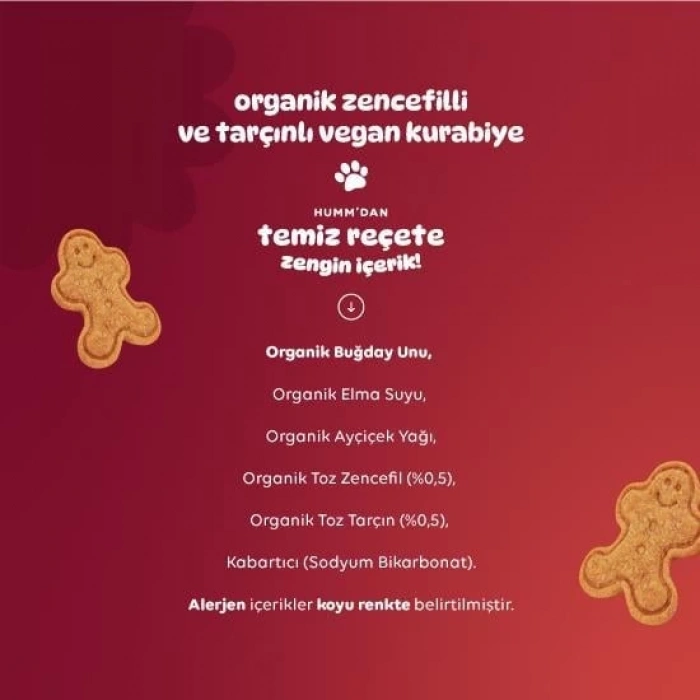  Humm Organik Zencefilli ve Tarçınlı Vegan Kurabiye 55 Gr