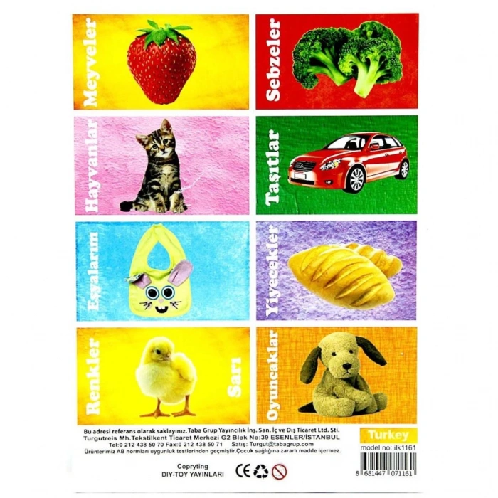 Çocuk İlk 50 Sözcük Eğitici Flash Kart Oyunu