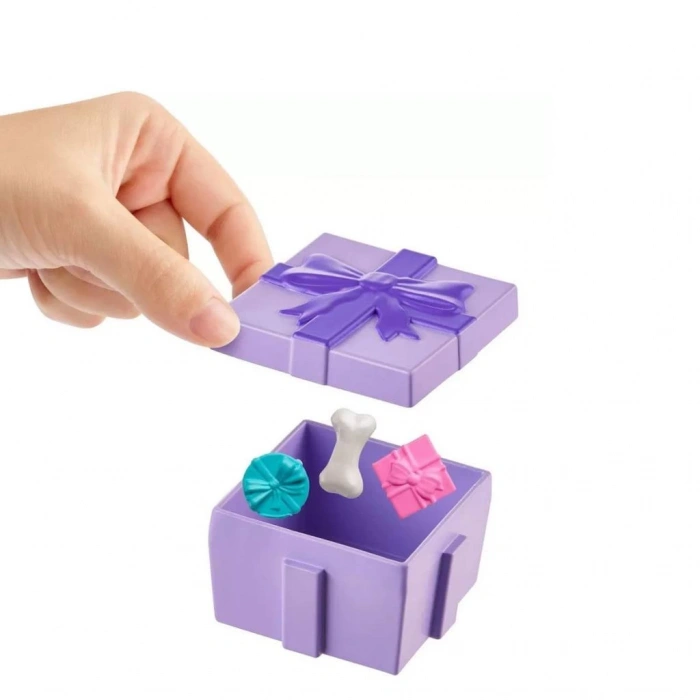 Çocuk Gelişim Polly Pocket Pollynin Doğum Günü Partisi Eğlenceli Paket