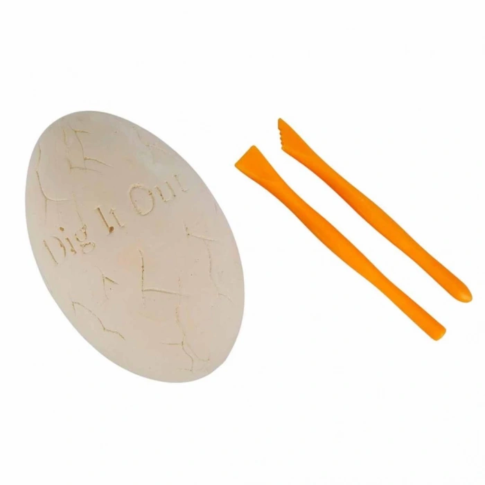  Karanlıkta Parlayan Timsah Fosil Kazı Seti