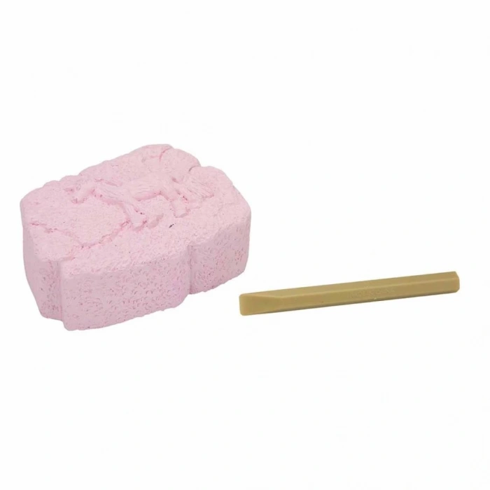    Karanlıkta Parlayan Unicorn Fosil Kazı Seti