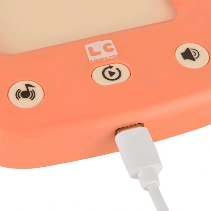 Çocuk LC Öğretici Türkçe İngilizce Konuşan Flash Kartlar 31050