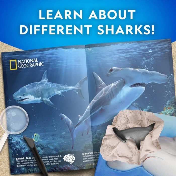 Çocuk NAT07002 National Geographic Köpek Balığı Bulma Kiti - TRHAMSHDIG +6 yaş