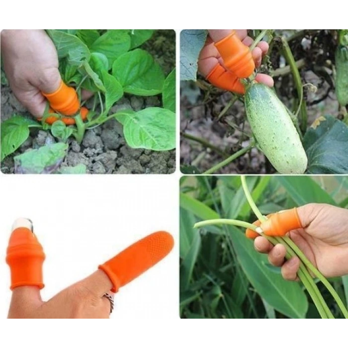 Eğitici Oyuncak Pratik Baş Parmak Sebze Kesme Ayıklayıcı Erkek L Set